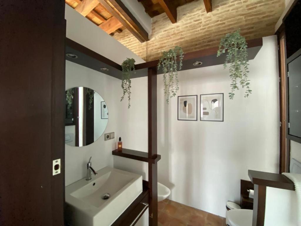 Hostfy Centro Puerta Osario Sevilla